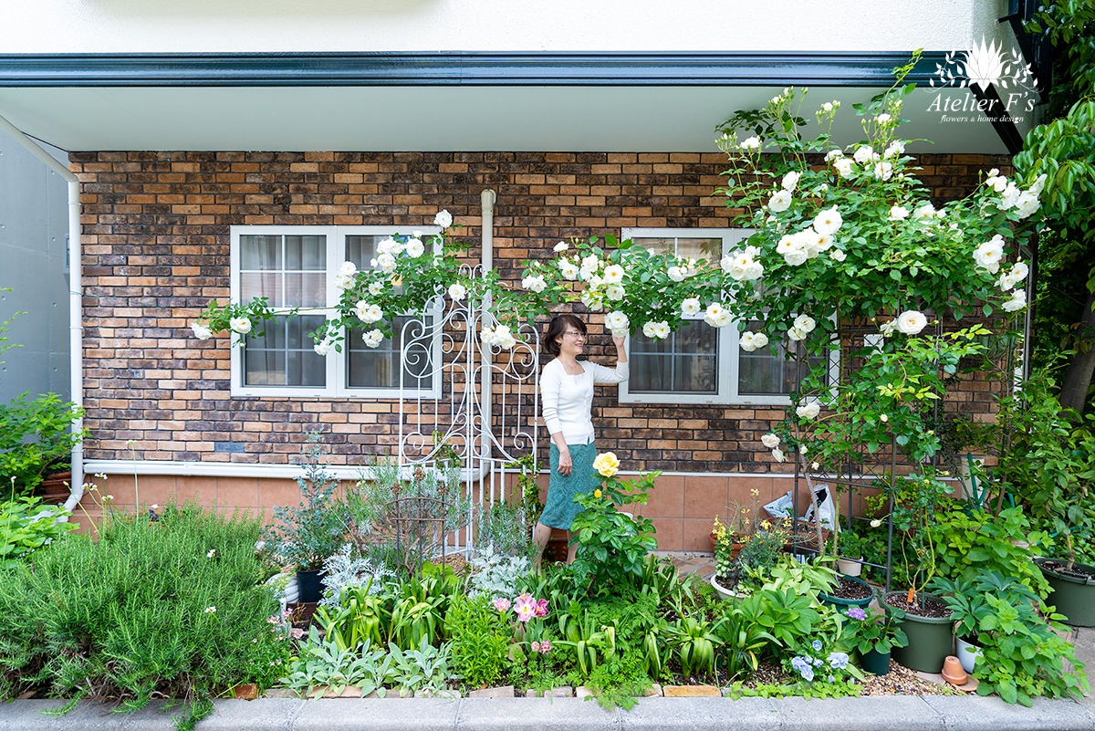 ガーデニング 小さな庭のある暮らしのyoutube動画 ツルバラのアイスバーグと春の花の育て方 アトリエフィーズ