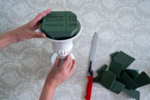 オアシスの扱い方のコツ