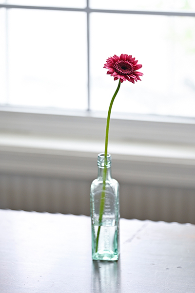 ガーベラを活ける