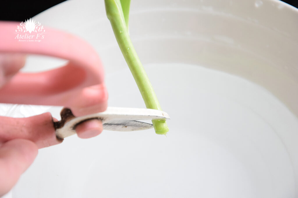 チューリップの切り方