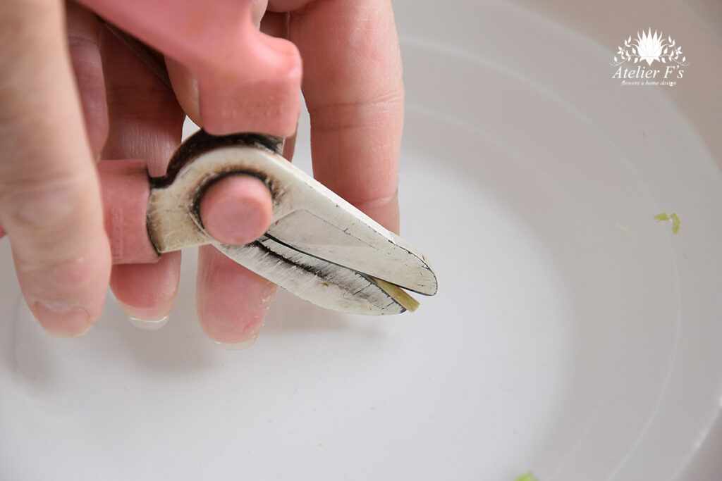 クレマチスを長持ちさせる切り方