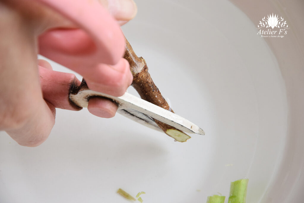 オオデマリの長もちする切り方