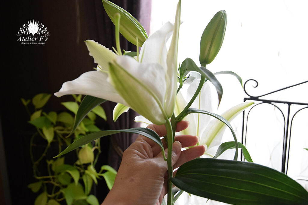 お供えのお花のお手入れ