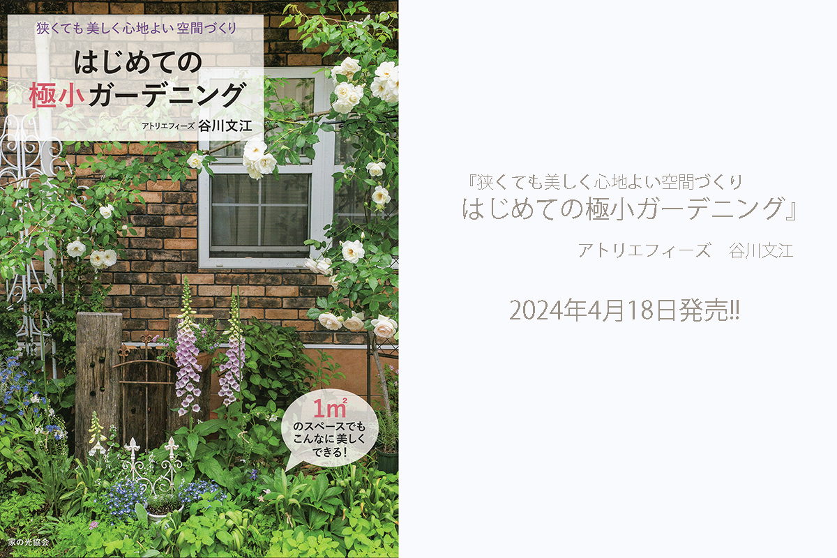 481e397ee014f37785cda4abbc919b